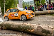 adac-hessen-rallye-vogelsberg-2014-rallyelive.com-2953.jpg